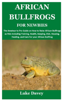 African Bullfrogs for Newbies