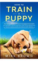 How to Train a Puppy