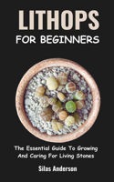 Lithops for Beginners