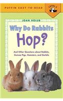 Why Do Rabbits Hop?: And Other Questions about Rabbits, Guinea Pigs, Hamsters, and Gerbils