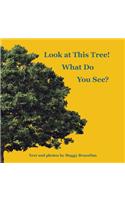 Look at This Tree! What Do You See?