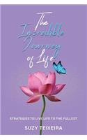 Incredible Journey of Life