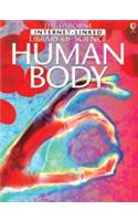 Human Body