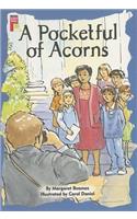 A Pocketful of Acorns: (Dominie Chapter Books)