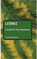 Leibniz: A Guide for the Perplexed