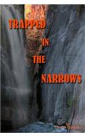 Trapped In The Narrows
