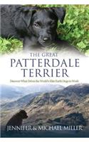 Great Patterdale Terrier