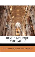 Revue Biblique, Volume 10