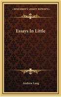 Essays in Little