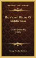 The Natural History Of Eristalis Tenax