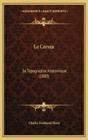 Cervea