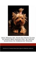 Dog Breeds 101