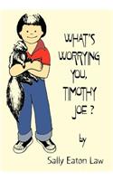 What's Worrying You, Timothy Joe?