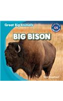 Big Bison