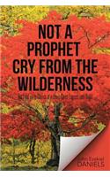 Not a Prophet Cry from the Wilderness