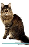 Maine Coon Cat Affirmations Workbook Maine Coon Cat Presents