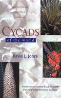 Cycads of the World