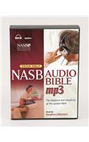 Voice Only Bible-NASB
