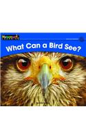 What Can a Bird See? Leveled Text