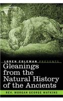 Gleanings From the Natural History of the Ancients
