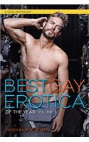 Best Gay Erotica of the Year, Volume 3