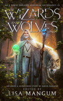 Of Wizards and Wolves