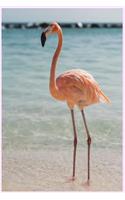 Pink Flamingo Notebook Journal: Beautiful Pink Flamingo Lined Notebook for Note Taking, 6 X 9, 110 Pages