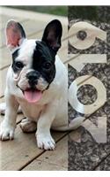 2019: Bulldog Puppy Handy Organizer Diary Daily Weekly and Monthly Calendar Planner for Dog Trainer