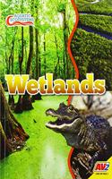 Wetlands