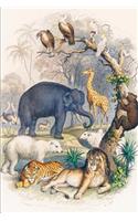 Animals Notebook: Cute Wildlife Journal Cover