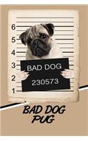 Bad Dog Pug: Beer Tasting Journal Rate and Record Your Favorite Beers Collect Beer Name, Brewer, Origin, Date, Sampled, Rating, STATS ABV Ibu Og Tg Srm, Price, C