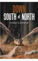 Down South of North