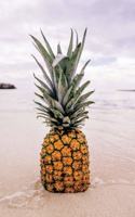Be a Pineapple Notebook & Journal