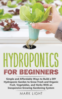 Hydroponics for Beginners