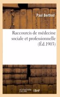 Raccourcis de Médecine Sociale Et Professionnelle