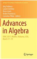 Advances in Algebra