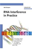RNA Interference in Practice: Principles, Basics, and Methods for Gene Silencing in C. Elegans, Drosophila, and Mammals