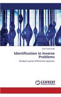 Identification in Inverse Problems