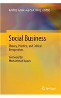 Social Business: Theory, Practice, and Critical Perspectives