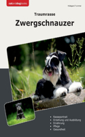 Traumrasse Zwergschnauzer
