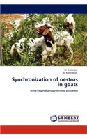 Synchronization of oestrus in goats