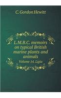 L.M.B.C. Memoirs on Typical British Marine Plants and Animals Volume 14. Ligia