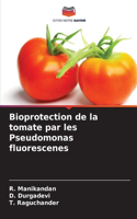 Bioprotection de la tomate par les Pseudomonas fluorescenes