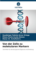 Von der Zelle zu molekularen Markern