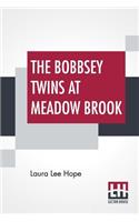 The Bobbsey Twins At Meadow Brook