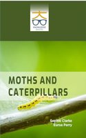Moths and Caterpillars