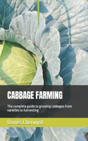 Cabbage Farming: The complete guide to growing cabbages from varieties to harvesting