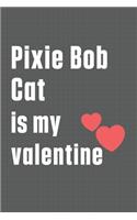Pixie Bob Cat is my valentine: For Pixie Bob Cat Fans