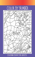 Color By Number Coloring Book For Adults