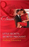Little Secrets: Secretly Pregnant